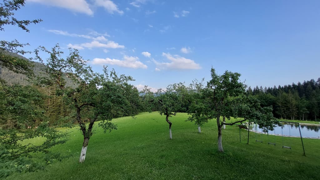 Spulhof Obstgarten